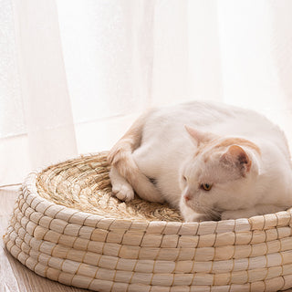 Teng Wok Felt House Cat Bed - Phosgene