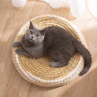 Teng Wok Felt House Cat Bed - Phosgene