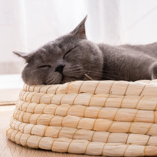 Teng Wok Felt House Cat Bed - Phosgene