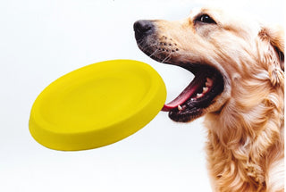 Pet Dogs Throwing Plastic Toys - Phosgene