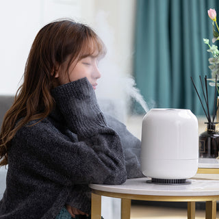 Humidity Control Desktop Timing Humidifier - Phosgene