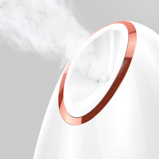 Nano Thermal Spray Moisturizing Face Steamer - Phosgene