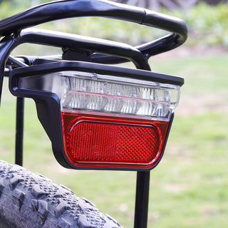 Electric vehicle combined tail light - Phosgene