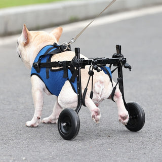 Pet Disabled Dog Wheelchair Scooter - Phosgene