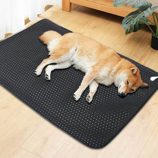 Pets Earthing Mat - Cats & Dogs - Phosgene