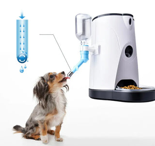 Pet automatic feeder Phosgene