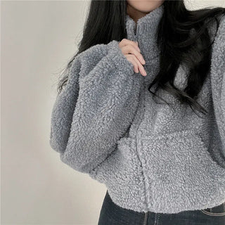 Stand-up Collar Thermal Faux Lamb Fur Coat Women's Autumn And Winter New Loose Temperament Zip Cardigan Tops Phosgene