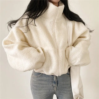 Stand-up Collar Thermal Faux Lamb Fur Coat Women's Autumn And Winter New Loose Temperament Zip Cardigan Tops Phosgene